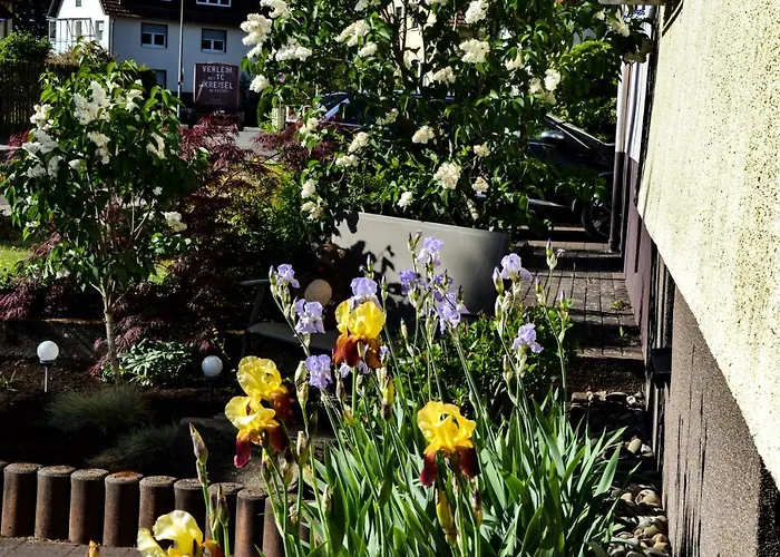 Ferienwohnung Jungbaer - Die Wohlfuehl-Adresse Im Stangenwald